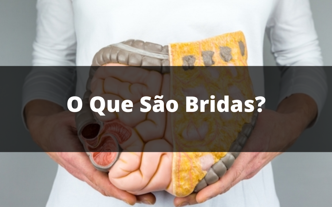 O Que São Bridas?